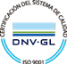 DNV Logotip